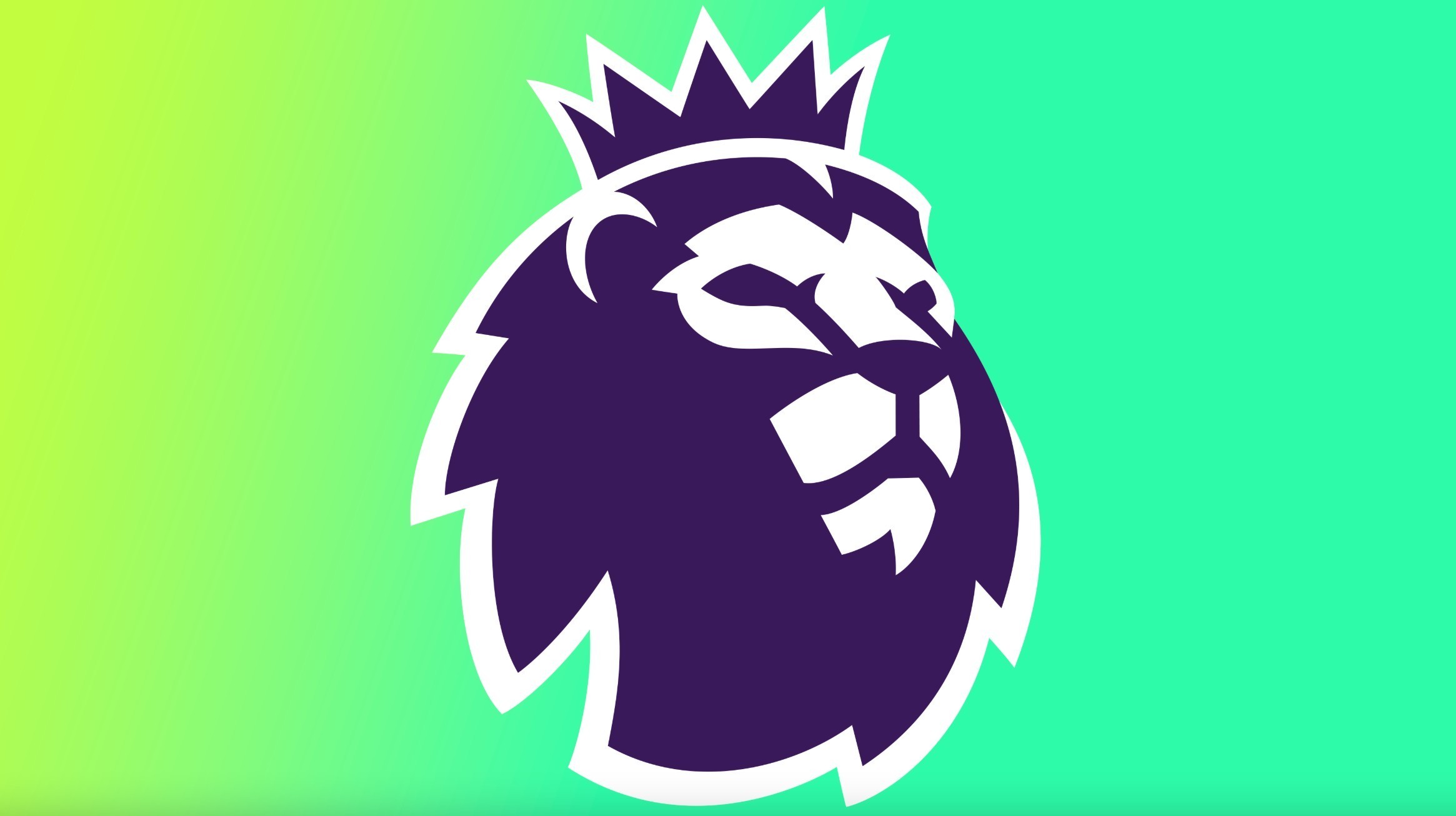 己的最优路 己的最优路